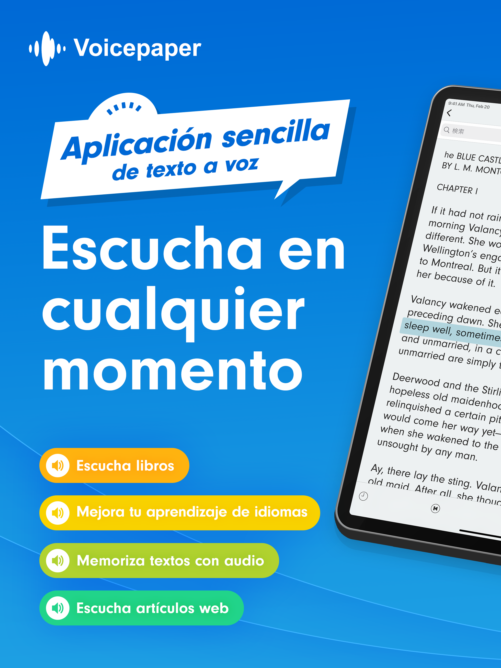 Voicepaper iPad