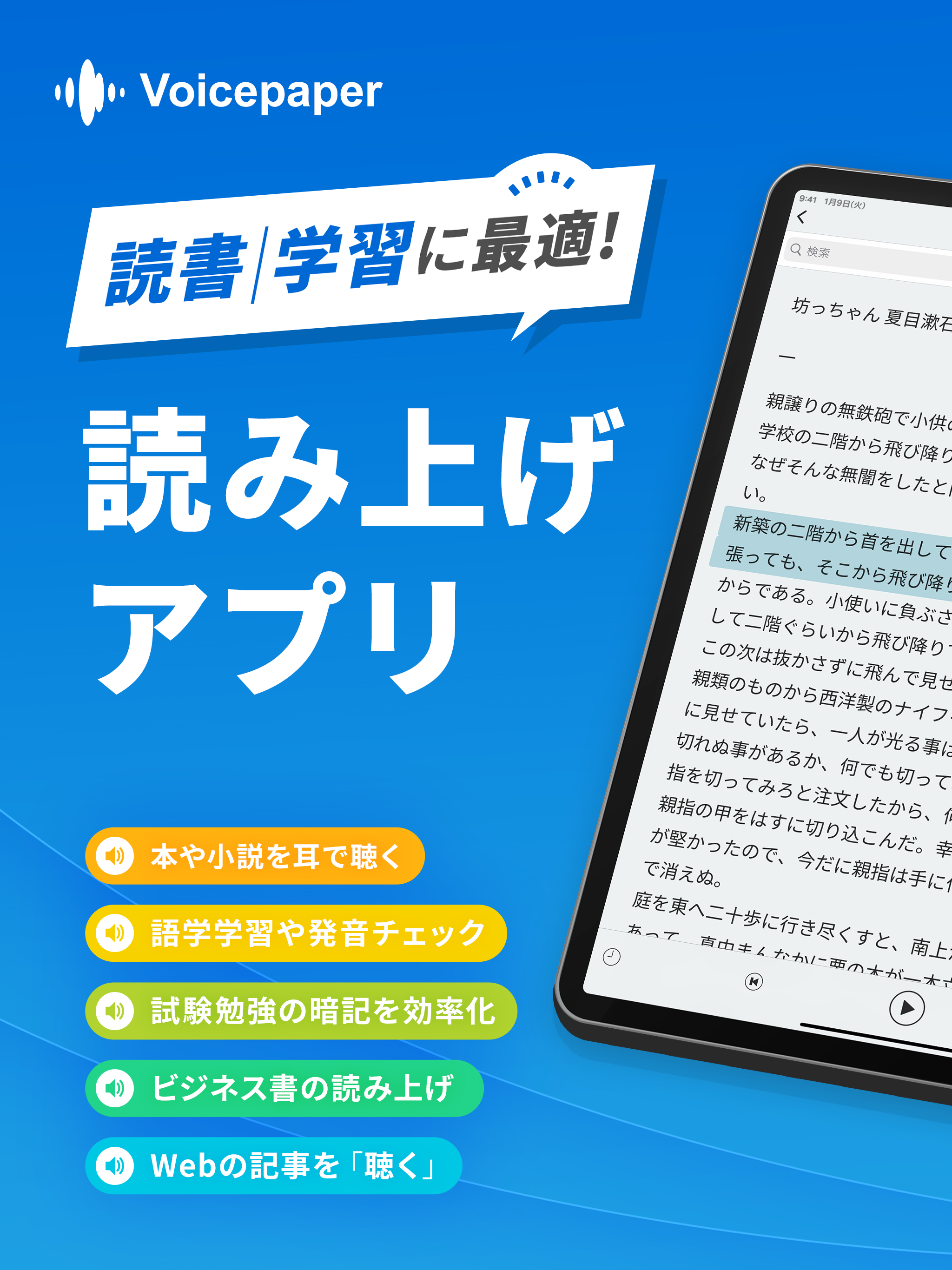 Voicepaper iPad